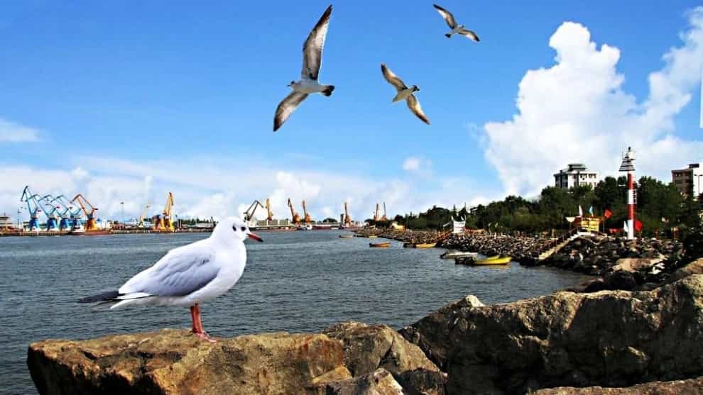 هزینه اقامت در سوئیت‌های ساحلی بندرانزلی